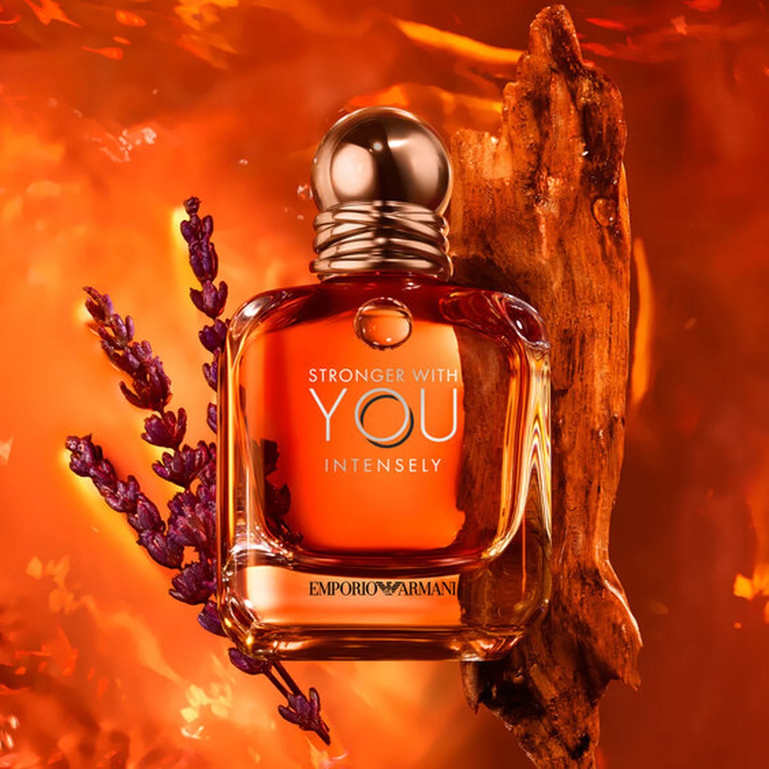 Pack 250dh 10ml (You intensely - Jean paul elixir - dior homme intense)